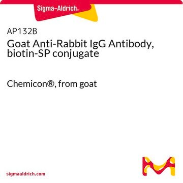 Anti-Kaninchen-IgG-Antikörper der Ziege, Biotin-SP-Konjugat Chemicon&#174;, from goat