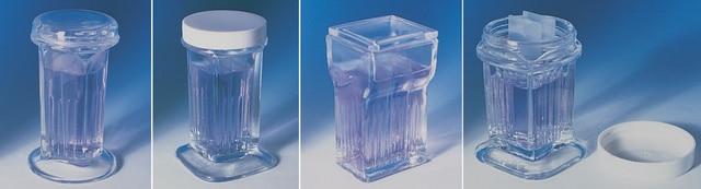 Wheaton Coplin staining jars 8 slide jar with glass cover