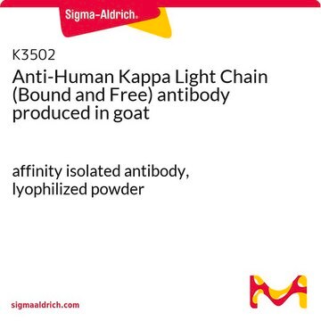 Anti-Human Kappa Light Chain (Bound and Free) antibody produced in goat affinity isolated antibody, lyophilized powder