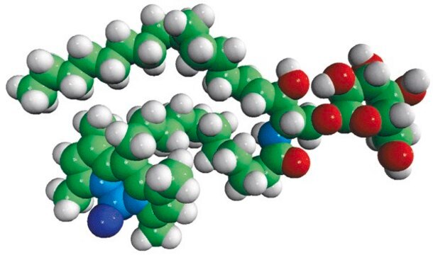 C11 TopFluor&#174; Galactosyl Ceramide N-[11-(dipyrrometheneboron difluoride)undecanoyl]-D-galactosyl-&#946;1-1&#8242;-D-erythro-sphingosine, powder