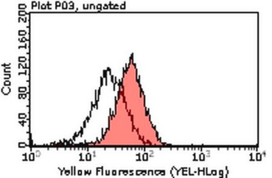 Anti-Tim3 Antibody, clone 5D12 clone 5D12, from mouse