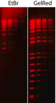 GelRed&#174; Nukleinsäuren-Färbemittel 10.000X in Wasser GelRed is a fluorescent nucleic acid stain designed to replace the highly toxic ethidium bromide (EtBr) for staining dsDNA, ssDNA or RNA in agarose gels or polyacrylamide gels.