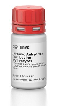 Carboanhydrase aus Rindererythrocyten &#8805;95% (SDS-PAGE), specific activity &#8805;3,500 W-A units/mg protein, lyophilized powder