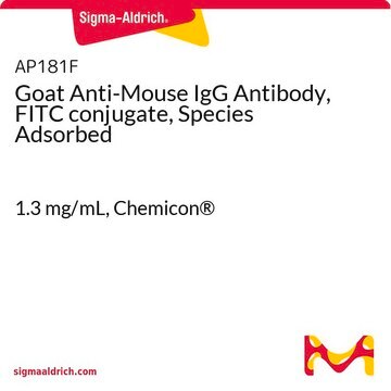 Goat Anti-Mouse IgG Antibody, FITC conjugate, Species Adsorbed 1.3&#160;mg/mL, Chemicon&#174;