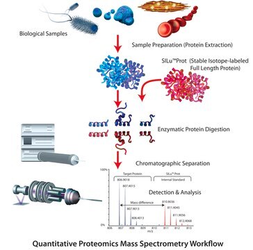 SILu&#8482;Lite TIMP1, Metalloproteinase inhibitor 1 human recombinant, expressed in HEK 293 cells, MS Protein Standard