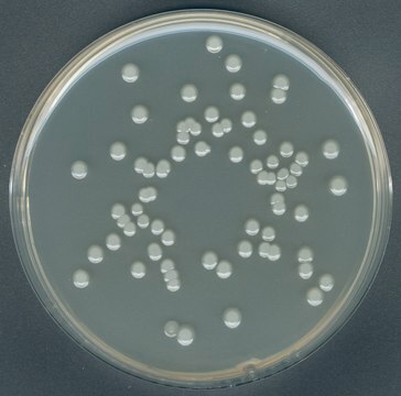 Plate Count agar GranuCult&#174; prime, ISO 4833, ISO 17410, FDA-BAM, granular, suitable for food and beverages