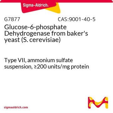 Glucose-6-phosphate Dehydrogenase from baker’s yeast (S.&#160;cerevisiae) Type VII, ammonium sulfate suspension, &#8805;200&#160;units/mg protein