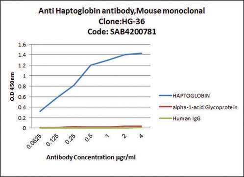 Anti-Haptoglobin antibody, Mouse monoclonal clone HG-36, purified from hybridoma cell culture