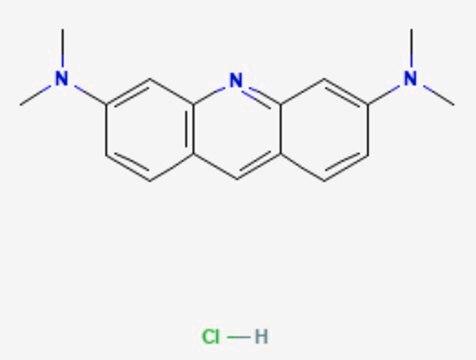 Acridine Orange solution 2% in H2O