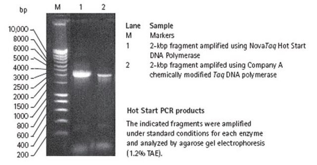 Nova Taq Hot-Start-DNA-Polymerase Heat-activatable modified form of recombinant Taq DNA polymerase