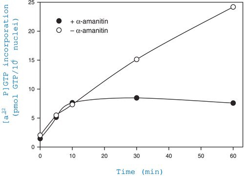 Zellkernisolierung - Kit: Nuclei EZ Prep sufficient for 25&#160;nuclei preparations (~1-10×107 cells/preparation)