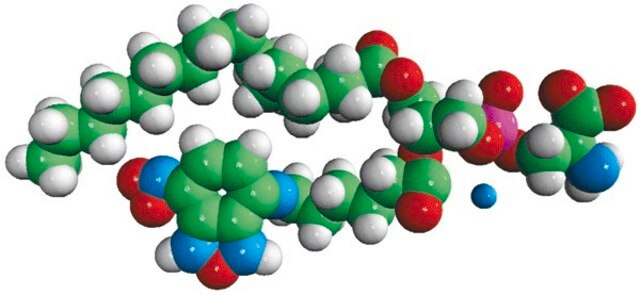 16:0-06:0 NBD PS Avanti Polar Lipids 810192C