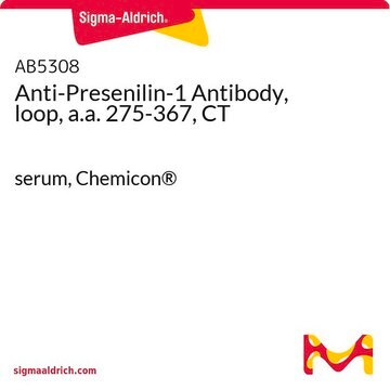 Anti-Presenilin-1-Antikörper, Schleife, AS 275–367, CT serum, Chemicon&#174;