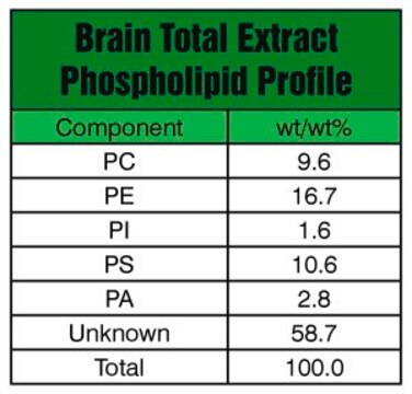 Brain Extract Total Avanti Polar Lipids