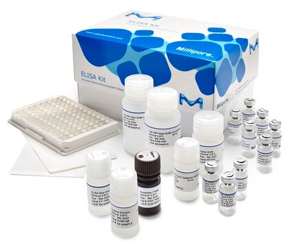 Luminata Forte ELISA HRP Substrate; 100 mL Western blotting, dot/slot blotting