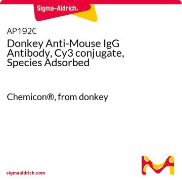 Donkey Anti-Mouse IgG Antibody, Cy3 conjugate, Species Adsorbed Chemicon&#174;, from donkey