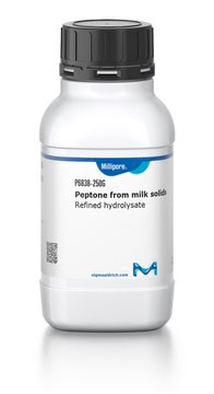 Pepton aus milk solids Refined hydrolysate