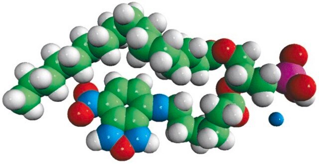 16:0-06:0 NBD PA Avanti Polar Lipids 810173P, powder