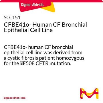 Humane CF-Bronchialepithelzelllinie CFVE41o- CFBE41o- human CF bronchial epithelial cell line was derived from a cystic fibrosis patient homozygous for the &#916;F508 CFTR mutation.