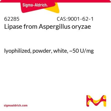 Lipase from Aspergillus oryzae lyophilized, powder, white, ~50&#160;U/mg