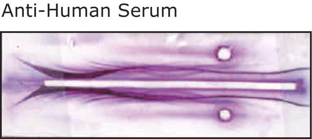 Anti-Human Serum antibody produced in goat whole antiserum