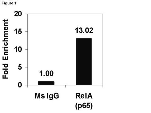 ChIPAb+ NF&#954;B p65 (RelA) - durch ChIP validiertes Antikörper- und Primer-Set from mouse