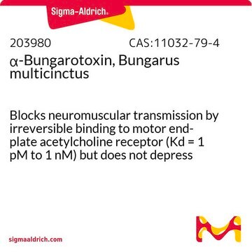 &#945;-Bungarotoxin, Bungarus multicinctus Blocks neuromuscular transmission by irreversible binding to motor end-plate acetylcholine receptor (Kd = 1 pM to 1 nM) but does not depress acetylcholine release from motor nerve endings.