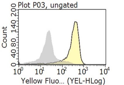 Anti-Integrin &#945;5&#946;1 Antibody, clone BMA5 culture supernatant, clone BMA5, from rat