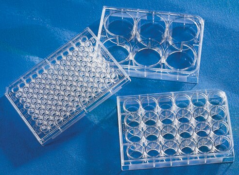 Corning&#174; 96 Well TC-Treated Microplates size 96&#160;wells, clear, polystyrene, round bottom, case of 50 (individually wrapped), sterile, lid