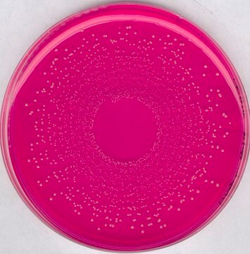 GranuCult&#174; Mannit-Kochsalz-Phenolrot-Agar USP, EP, JP, suitable for microbiology