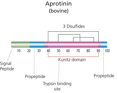 Aprotinin aus Rinderlunge lyophilized, ~80% (HPCE), crystalline (fine), white, &#8805;3500&#160;U/mg