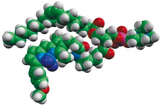 TopFluor&#174; TMR PC Avanti Polar Lipids