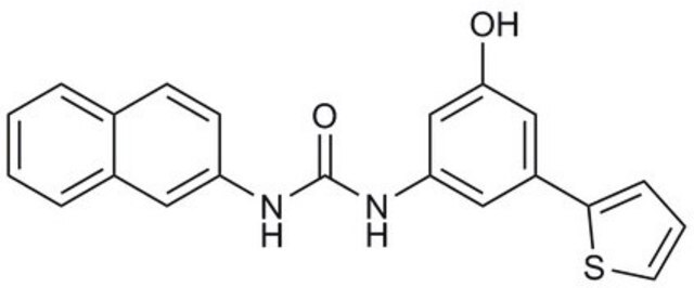 Wnt-&#946;-Catenin Signaling Inhibitor, FzM1