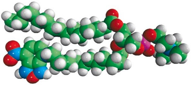 16:0-12:0 NBD PC Avanti Polar Lipids 810131C