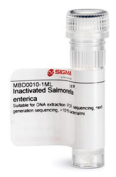 Inactivated Salmonella enterica Suitable for DNA extraction, PCR, sequencing, next generation sequencing, &gt;10^8 bacteria/ml