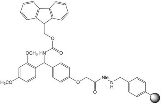 Rink Amide AM resin (200-400 mesh) Novabiochem&#174;