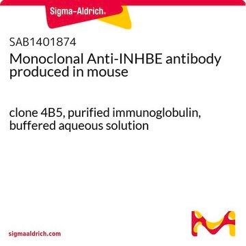 Monoclonal Anti-INHBE antibody produced in mouse clone 4B5, purified immunoglobulin, buffered aqueous solution