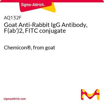 Goat Anti-Rabbit IgG Antibody, F(ab&#8242;)2, FITC conjugate Chemicon&#174;, from goat