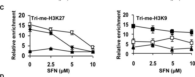 Anti-trimethyl-Histone H3 (Lys9) Antibody Upstate&#174;, from rabbit