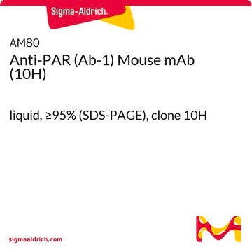 Anti-PAR (Ab-1) Mouse mAb (10H) liquid, &#8805;95% (SDS-PAGE), clone 10H