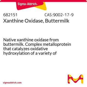 Xanthinoxidase, Buttermilch Native xanthine oxidase from buttermilk. Complex metalloprotein that catalyzes oxidative hydroxylation of a variety of aromatic heterocycles and simple aldehydes. Catalyzes the oxidation of xanthine to uric acid.