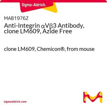 Anti-Integrin &#945;V&#946;3 Antibody, clone LM609, Azide Free clone LM609, Chemicon&#174;, from mouse