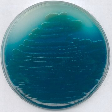 Pseudomonas agar P (base) suitable for microbiology