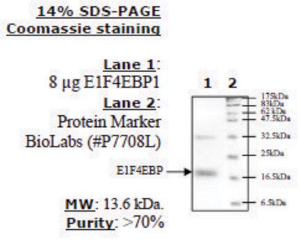 4EBP1 Active human recombinant, expressed in E. coli, &#8805;70% (SDS-PAGE)