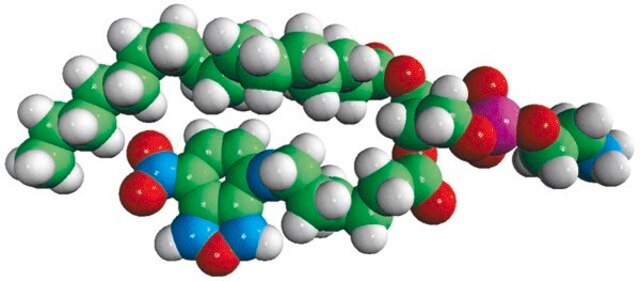 16:0-06:0 NBD PE Avanti Polar Lipids 810153P, powder