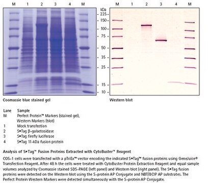 CytoBuster Proteinextraktionsreagenz Simple extraction of soluble protein from mammalian and insect cells