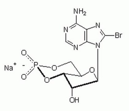 Adenosin-3&#8242;,5&#8242;-zyklisches Monophosphat, 8-Brom-, Natriumsalz Cell-permeable cAMP analog that has greater resistance to phosphodiesterases than cAMP.