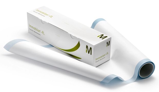 Immobilon&#174;-FL PVDF Membrane 1 roll, 27 cm x 3.75 m, 0.45 &#181;m pore size, Hydrophobic PVDF Transfer Membrane with low background fluorescence for Western blotting. Compatible with visible and infrared fluorescent probes.