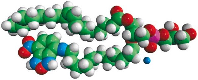 18:1-12:0 NBD PG Avanti Polar Lipids 810166P, powder