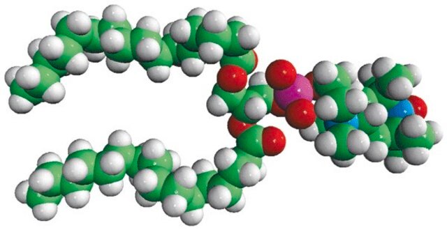 16:0 Tempo PC Avanti Polar Lipids 810606P, powder